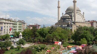 تجربه واقعی بازدید از مسجد بزرگ وان در وان