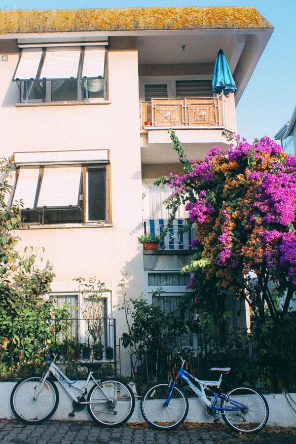 جزایر پرنسس بورگاز